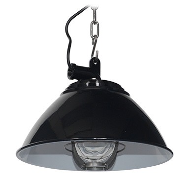 Pendant Light