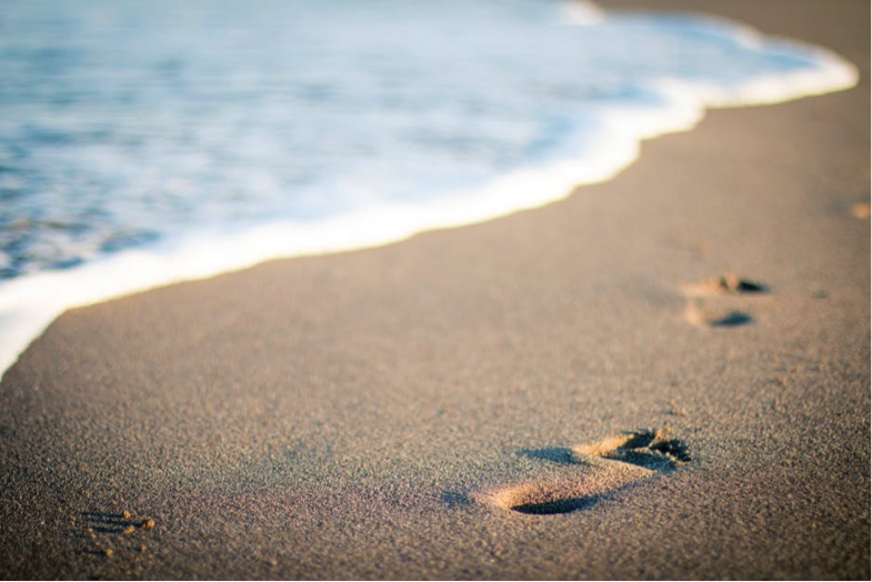 beach, sunlight- Cocoweb