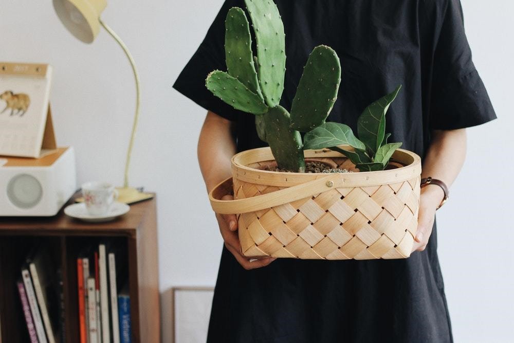 girl holding a basket with a cactus in it