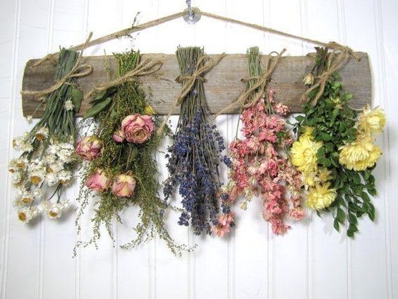 hung flowers and herbs