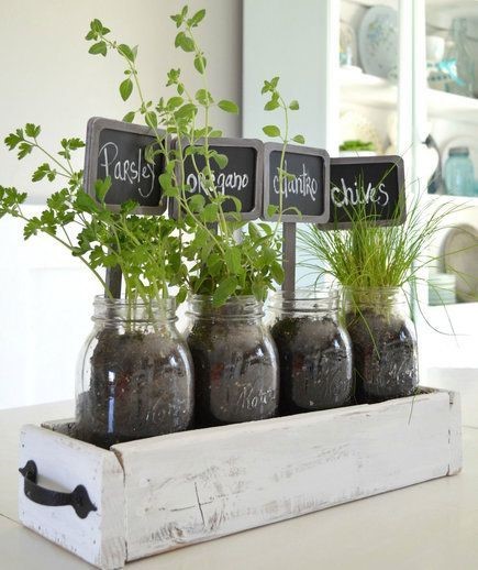 mason jar herbs herb garden