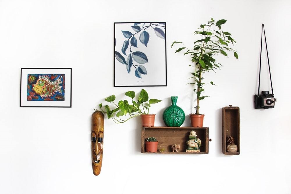 plants and boxes and wall hangings and home decor