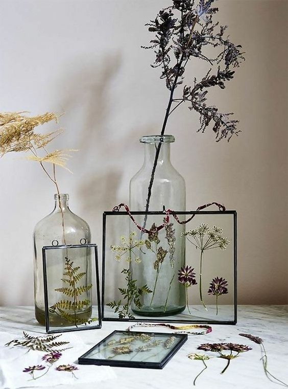 pressed botanicals in jars