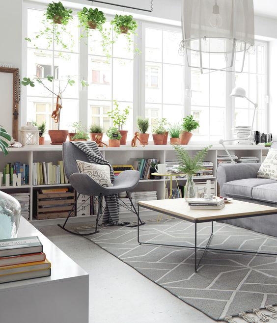 Living room with plants and chairs