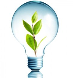Environment, light bulb, plant- Cocoweb