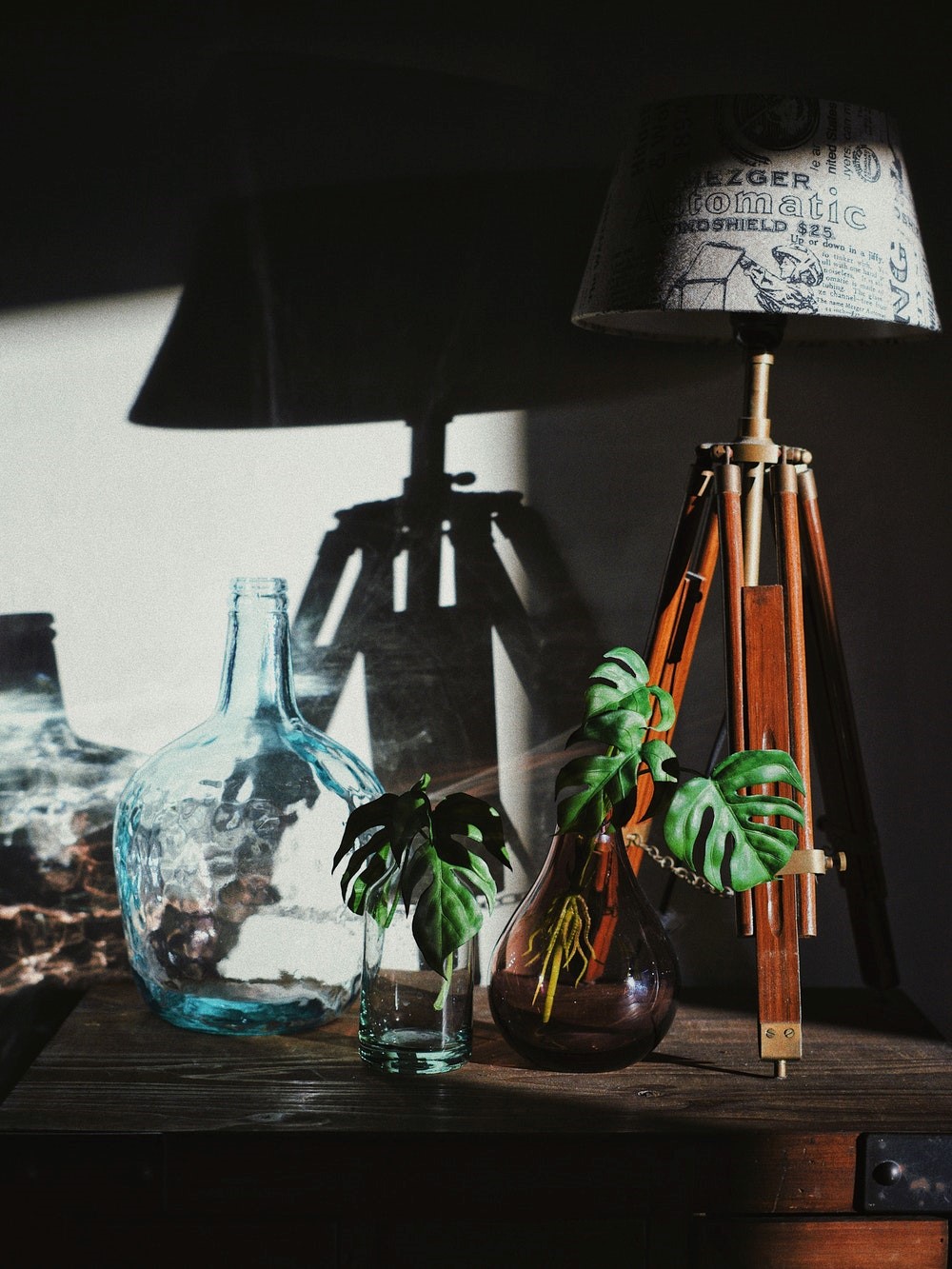 green plants vase table photography