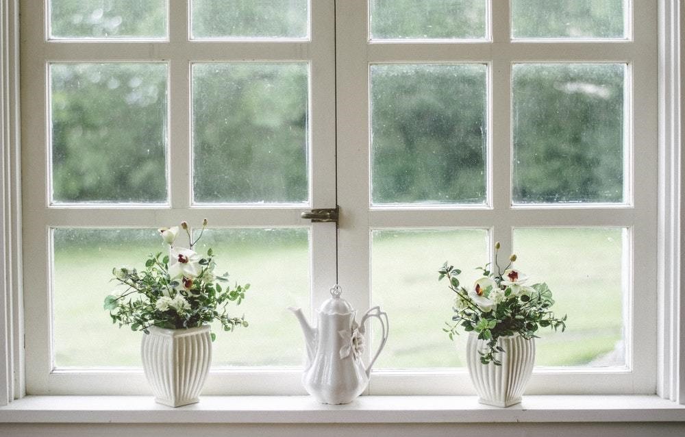 white window with two potted plants and a tea decanter on the window seal